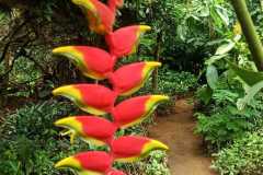 2026.06.28-Togo-Dzogbegan-6