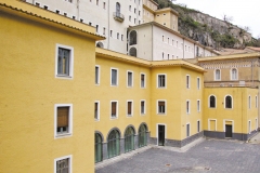 Attività