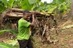 09-Brother-Michael-carrying-plantain-tubers-for-our-farm